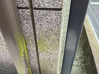 江東区北砂にて行ったサイディング外壁の調査！外壁に苔の発生、シーリングの劣化から、外壁塗装工事とシーリング打ち替え工事をご提案
