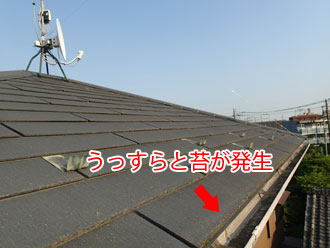 調布市柴崎で屋根に汚れや色褪せが起きてしまった化粧スレートのお住まいを塗装メンテナンス。北側の屋根には藻も発生？