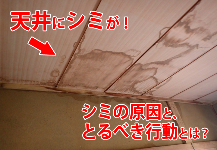 天井のシミの原因とは！？解説します！