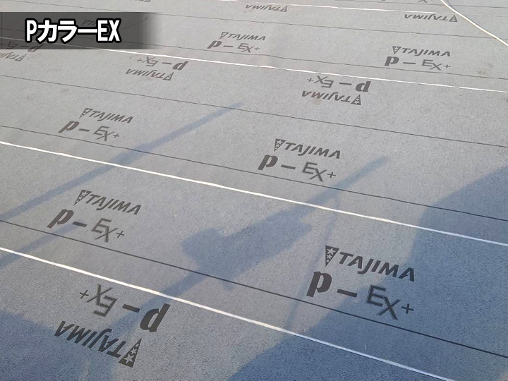 PカラーEX