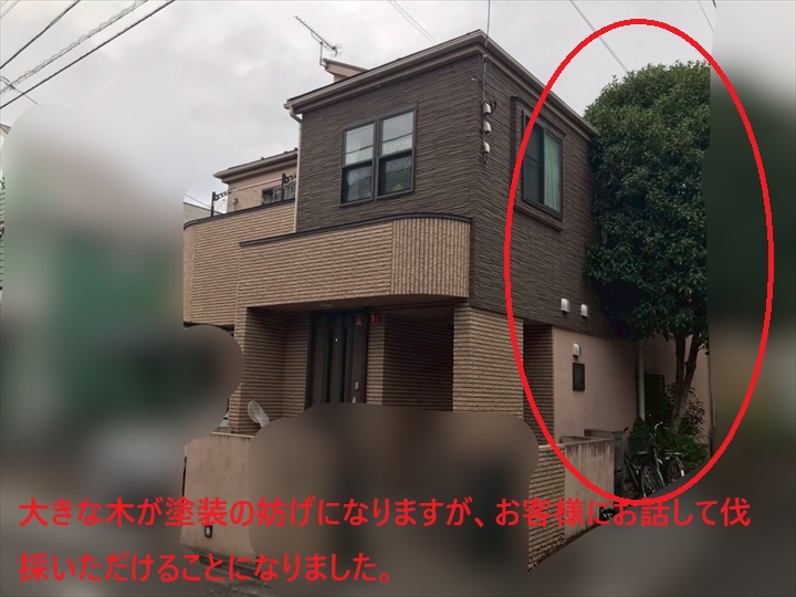 大きな木がありました