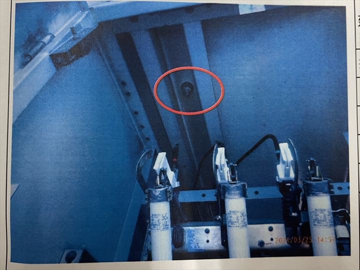 送付された写真