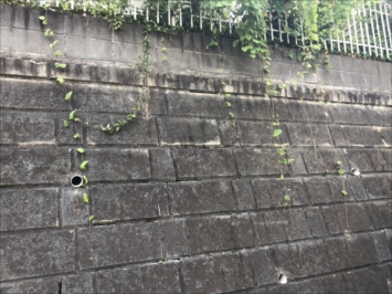 擁壁の状態