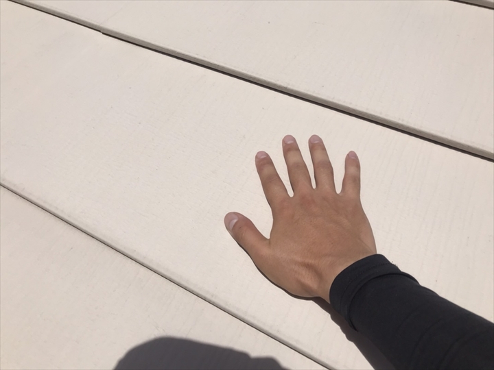触ってもへっちゃらです