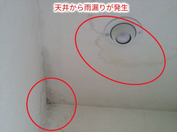 天井の雨漏り跡