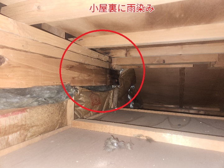 小屋裏の雨染み