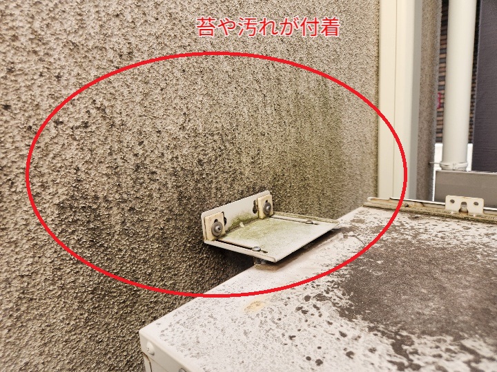 モルタル外壁の苔と汚れの付着