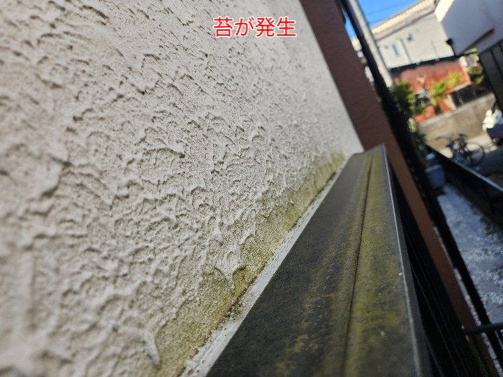 外壁に苔が発生