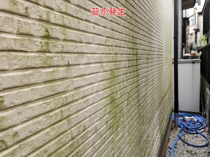 サイディング外壁に苔発生
