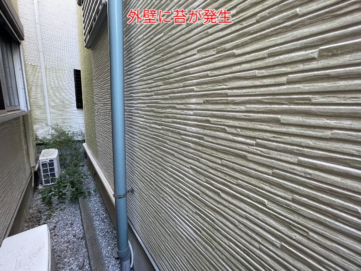 サイディング外壁に苔が発生