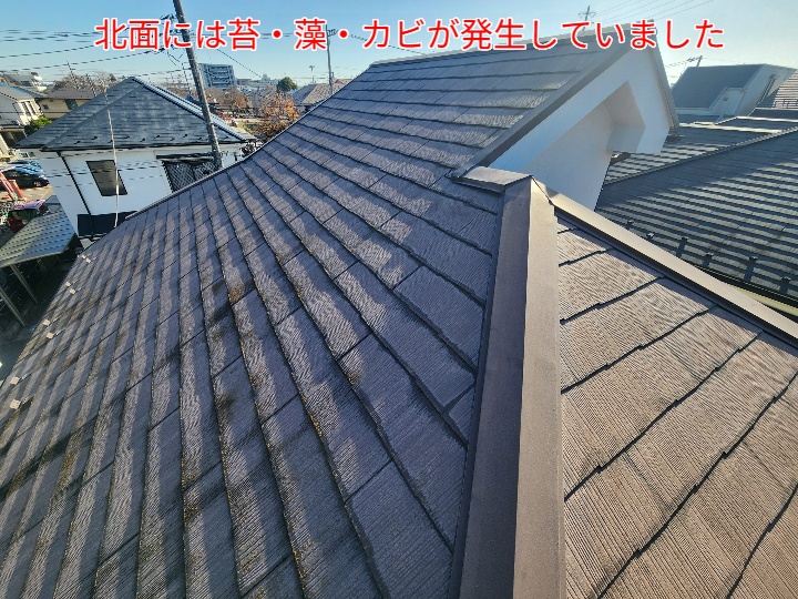 スレート屋根に苔が発生