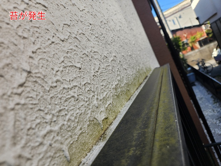 モルタル外壁に苔や汚れが付着