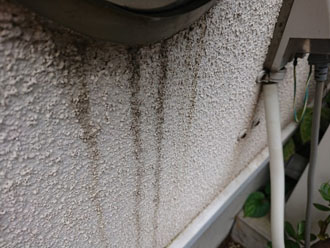 ベントキャップ廻りや物置裏の外壁は雨水を吸収しすぎて脆くなっている部分もあります