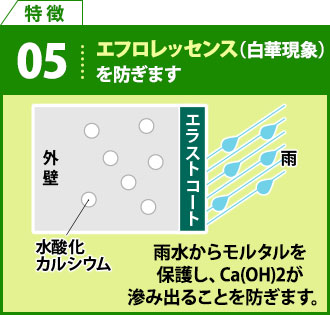 特徴5 エフロレッセンス（白華現象）を防ぎます