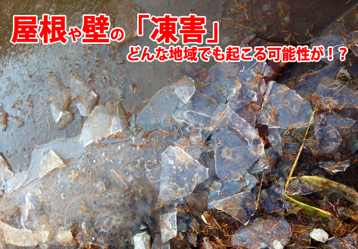 凍害被害、どんな地域でも起こる可能性があります！
