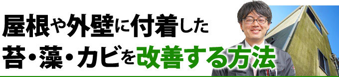 屋根や外壁に付着した苔・藻・カビを改善する方法
