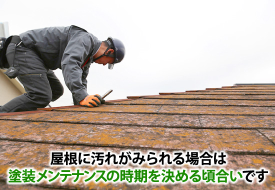 屋根に汚れがみられる場合は塗装メンテナンスの時期を決める頃合いです