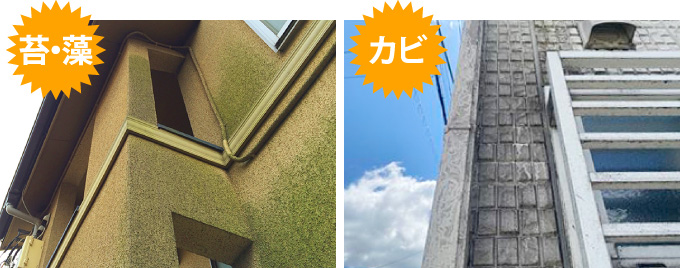 メンテナンスは最も劣化が目立つ場所を基準に!