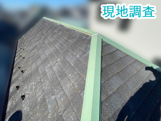 現地調査の様子
