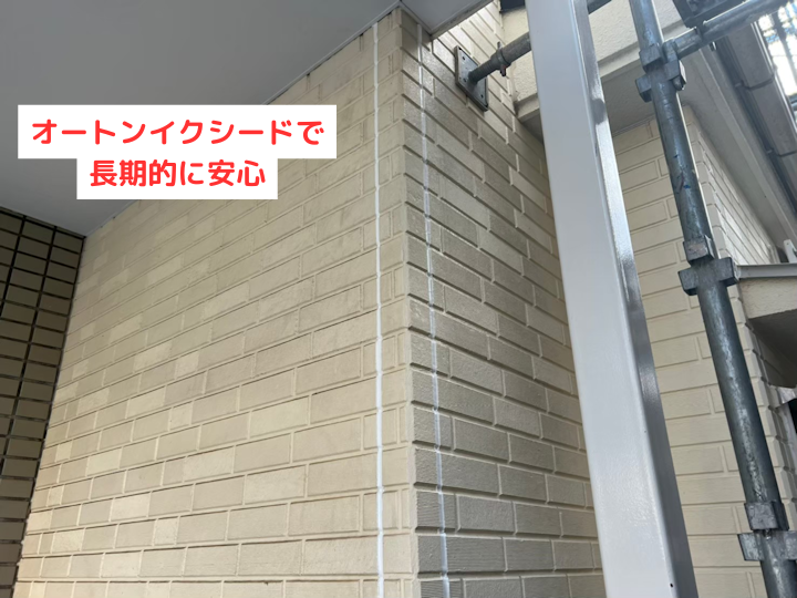 オートンイクシードを使用