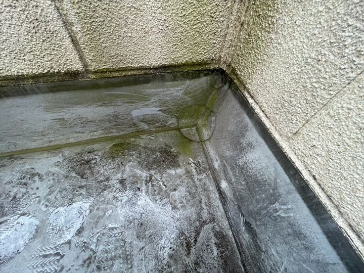 隅部に苔がある防水層