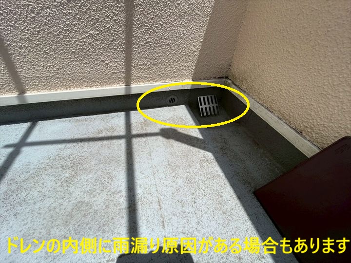 排水ドレンまわり