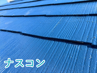 ファインパーフェクトベストのナスコン