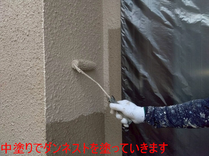 中塗りでダンネストを塗っていきます