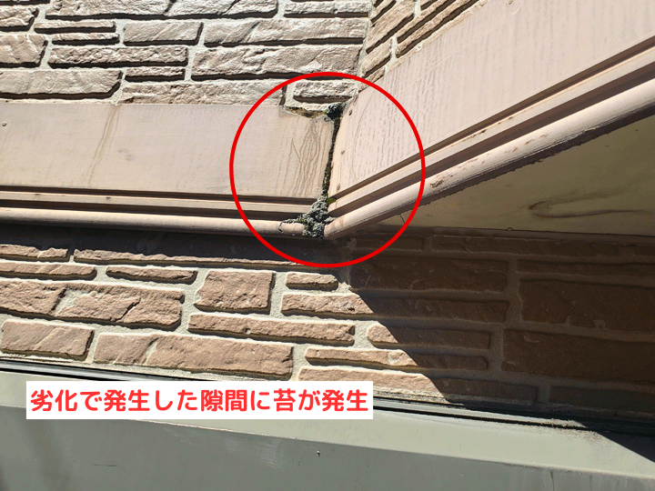 劣化で発生した隙間に苔が発生