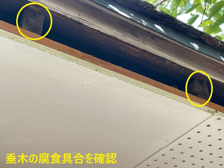 垂木先端の傷み確認