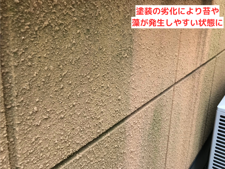 外壁が苔(藻)で緑色に