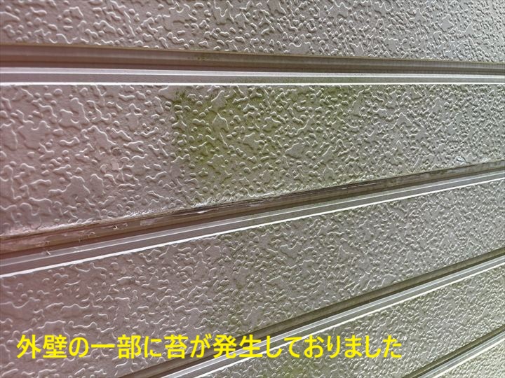 外壁の一部に苔が発生しておりました