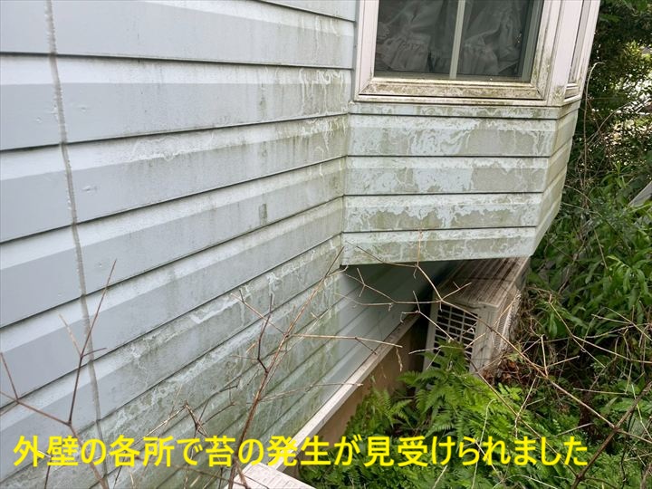 調布市つつじが丘にて外壁に苔やひび割れが発生！点検から外壁塗装工事をご提案いたしました