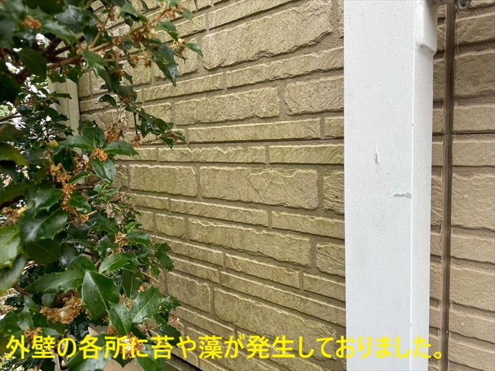 外壁の各所に苔や藻が発生しておりました。