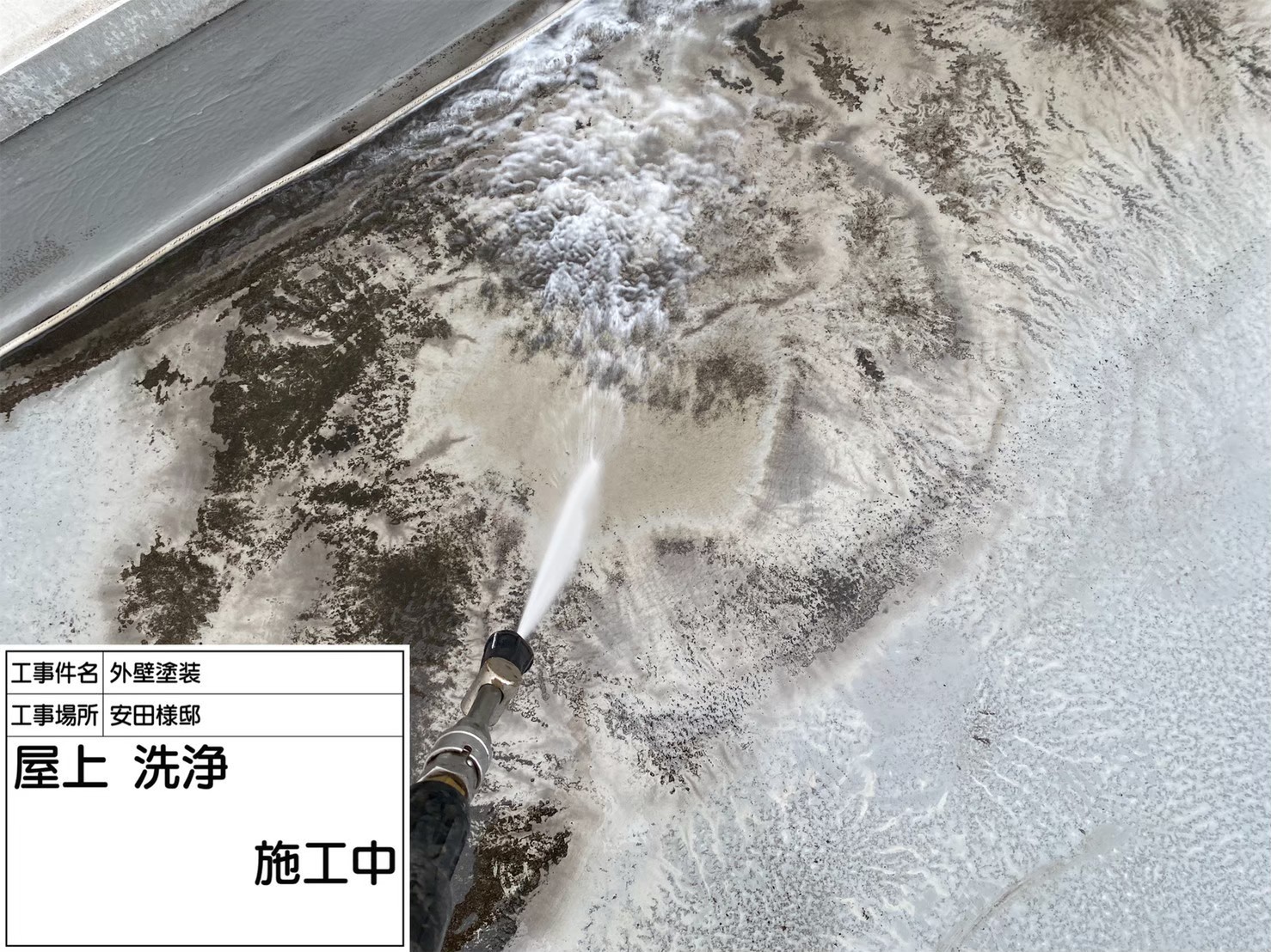 屋上洗浄