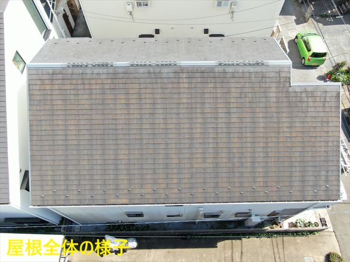 屋根全体の様子