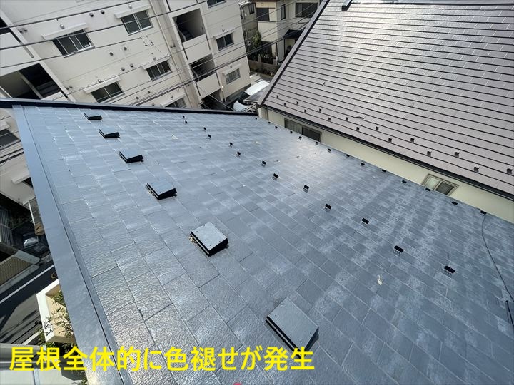 色褪せた屋根全景
