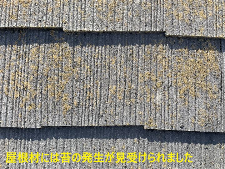 屋根材には苔の発生が見受けられました