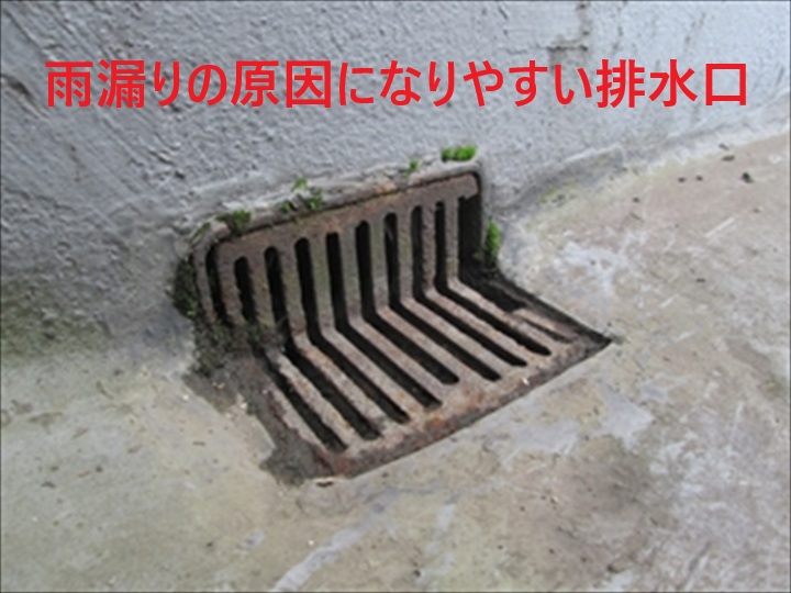 雨漏りの原因になりやすい排水口