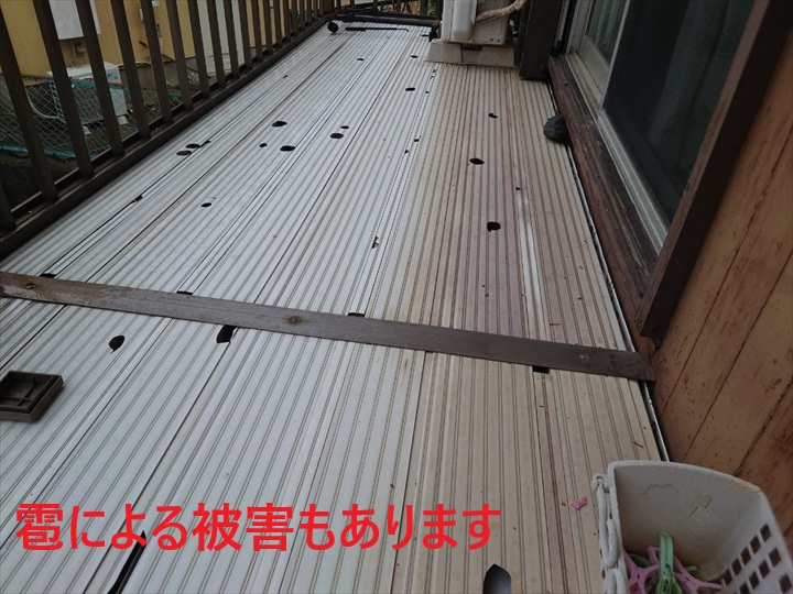 表の被害