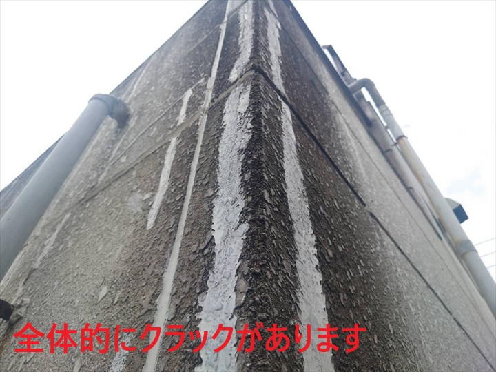 外壁全体に広がるクラック