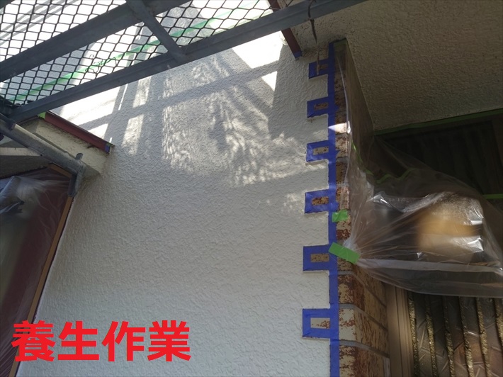 養生