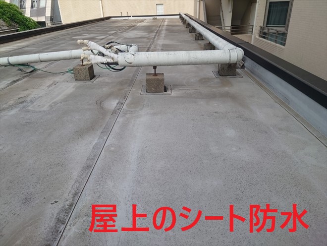 武蔵野市吉祥寺本町で以前に工事を行ったお客様から外壁塗装と屋上防水工事の見積り依頼をいただきました