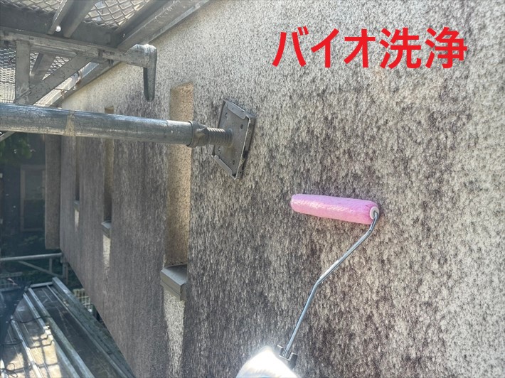 モルタル外壁の汚れ・苔の繁殖防止に繋がる外壁塗装のメリット！汚損がひどい外壁に最適な「バイオ洗浄」と高圧洗浄の違いとは？