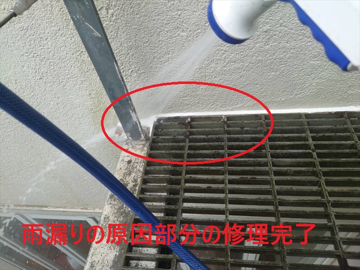 外壁雨漏り修理後の壁クロス復旧作業【調布市染地】
