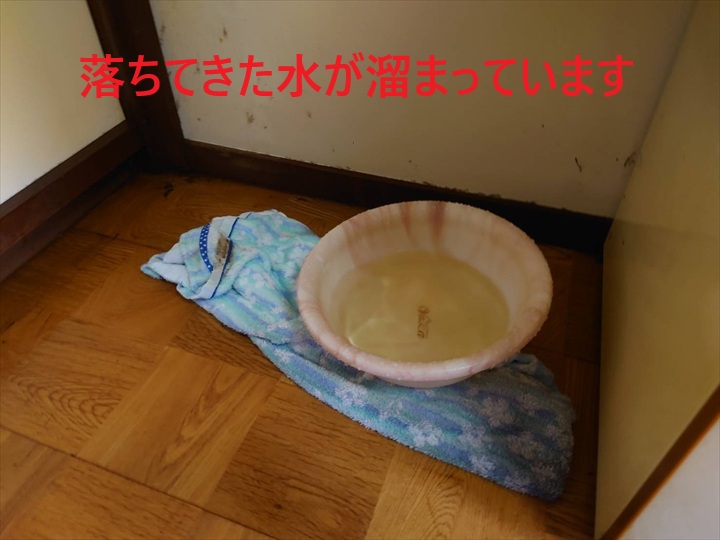 落ちてきた水が溜まっています