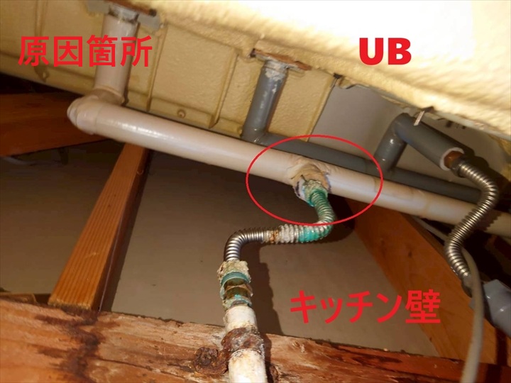 原因部分