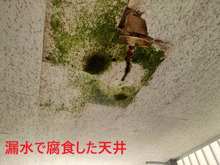 腐食した天井