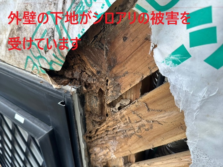 下地がシロアリの被害