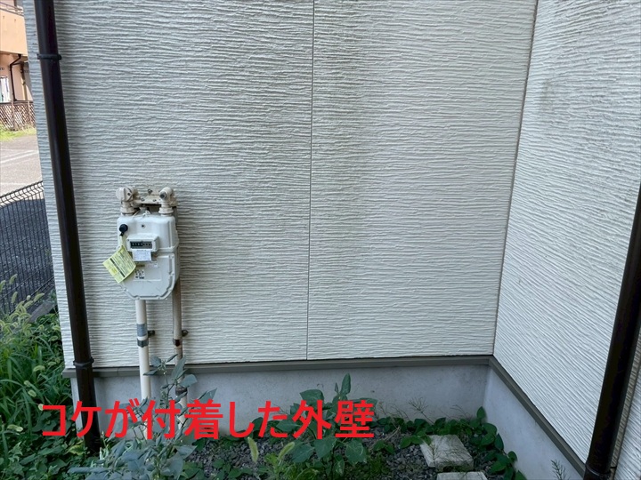 北側外壁のコケ付着